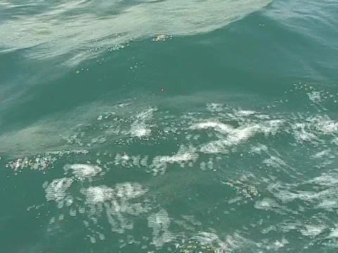 Ocean Water 库存影片 1043885