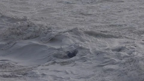 Ocean water full of foam garbage and debris. Stock Footage 334225466