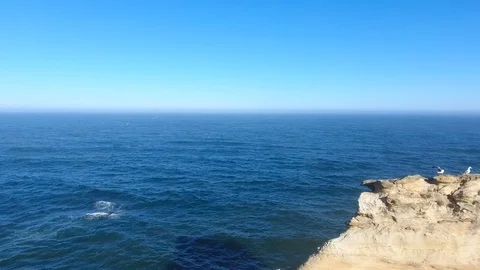 Ocean water seagulls Stock Footage 81791861