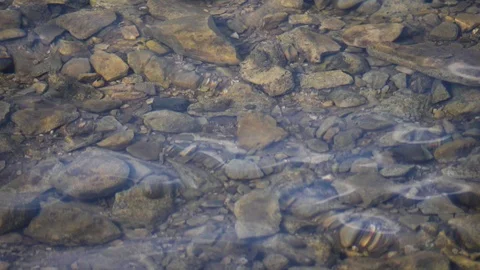 Ocean water surface slow motion Stock Footage 91288135