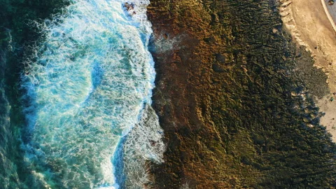Ocean water waves foaming top down aerial static view. Tenerife Canary Islands. Stock Footage 231066091