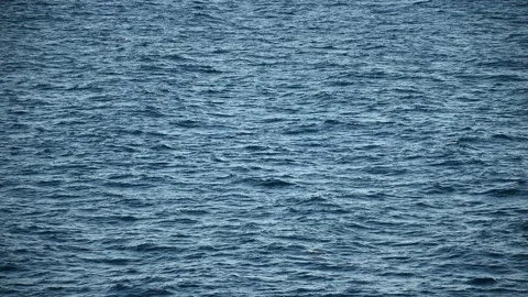 Ocean Waters Going By 動画素材 220845490