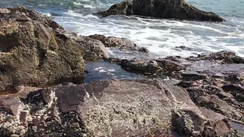 Ocean Wave Crash Stock Footage 156414700