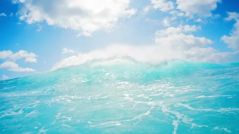 Ocean wave. Crystal clear ocean wave rolls and breaks. Indian Ocean's wave Vídeo Stock 167115782