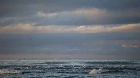 Ocean, wave Vídeo Stock 580864