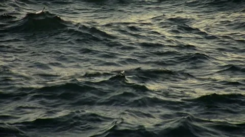 Ocean wave Video stock 8601935