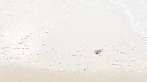 Ocean wave hit the beach,Sea waves with wave crashing on sandy shore  Stock Footage 111276218