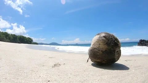 Ocean wave knocks off coconut lying on white sand beach and water splashes reach Stock Footage 130546209