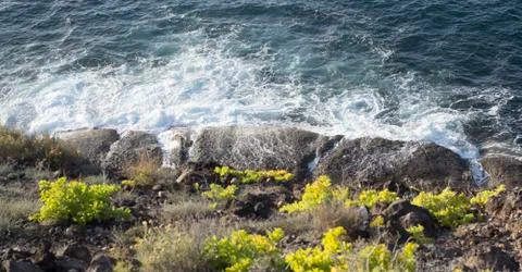 Ocean wave making small splashes on Tenerife shore Stock Photos