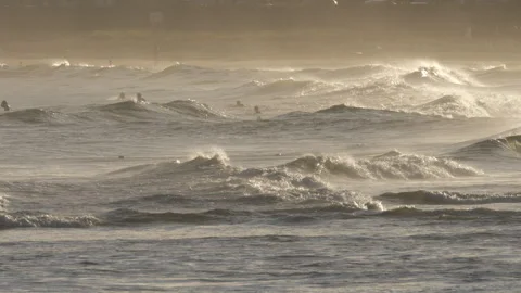 Ocean wave moving at sunset Stock Footage 344123635