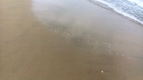 Ocean wave on the sandy beach Stock Footage 98848359