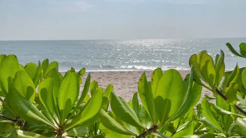 Ocean wave on sandy beach. The tropical Summer Stock Footage 304559521
