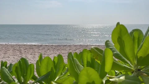 Ocean wave on sandy beach. The tropical Summer Stock Footage 304920401
