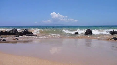 Ocean Wave Swallows Video Camera Stock Footage 24241557