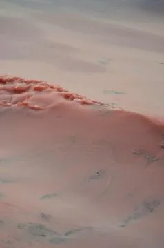 An ocean wave turned pink from algae. Stock Photos