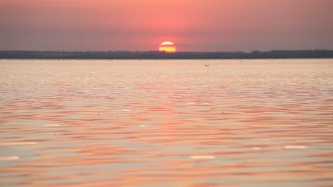 Ocean wave water surface with rising sun reflection. Florida, USA Stock Footage 87632621