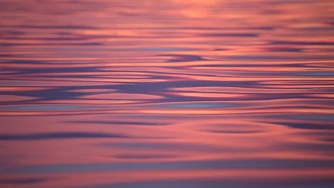 Ocean wave water surface with rising sun reflection. Florida, USA Stock Footage 87633068