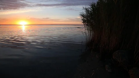 Ocean wave water surface with rising sun reflection. Florida, USA Stock Footage 87635411