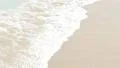 Ocean Waves 10 Venice Beach California HD Footage