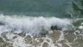Ocean Waves 14 Venice Beach California HD Footage