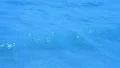 Ocean Waves 96fps 14 Slow Motion x4 HD Footage