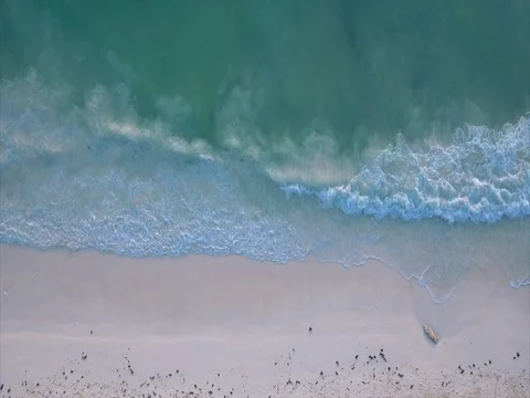 Ocean waves aerial view Stock Footage 79504400