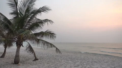 Ocean waves against the blue sky and palm trees. Holiday vacation beach Video stock 103674475