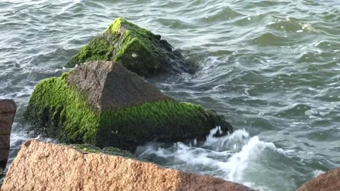 Ocean Waves Against the Rocks Stock Footage 270010645