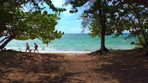 Ocean waves against trees in Cuba Video stock 173529658
