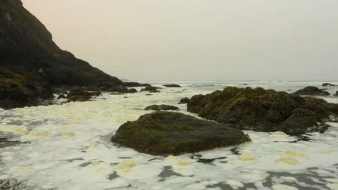 Ocean waves and floating seafoam collecting on a rocky shore Stock-Footage 161519191