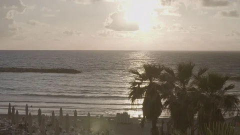 Ocean waves and palm trees Stock Footage 82830754