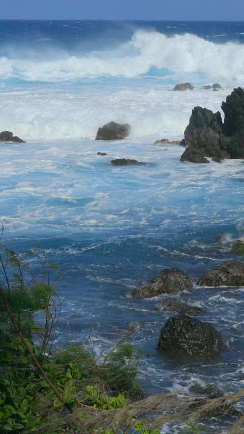 Ocean waves  and palm trees on the shore in Hawaii Video stock 293153510