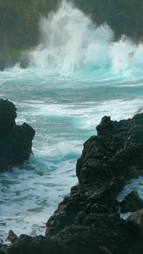 Ocean waves  and palm trees on the shore in Hawaii Stock Footage 293153533