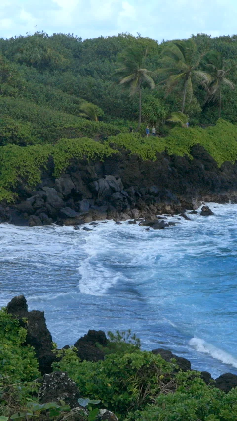 Ocean waves  and palm trees on the shore in Hawaii Stock Footage 293153683