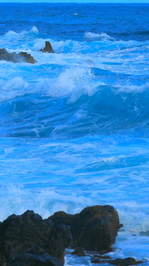 Ocean waves  and palm trees on the shore in Hawaii Stock Footage 293153707