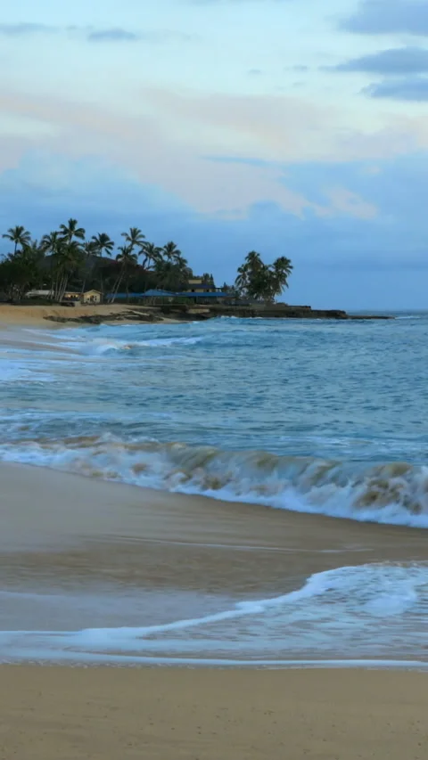 Ocean waves  and palm trees on the shore in Hawaii Video stock 293154125