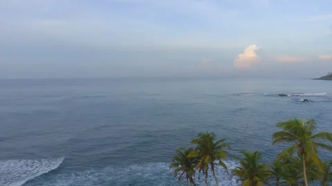 Ocean waves and palm trees Sri Lanka Stock Footage 328965285