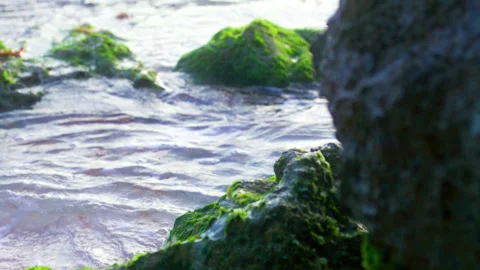 Ocean waves and rocks in Christ Church, Barbados Stock Footage 311523579