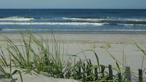 Ocean waves and sandy beach Video stock 76043778