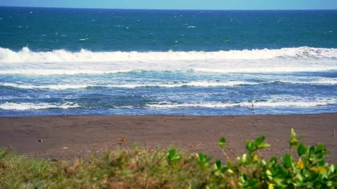Ocean Waves And Sandy Beach Shore Stock Footage 337526803