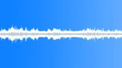Ocean Waves and Seagulls loop Sound Effect