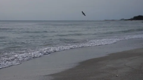Ocean Waves at the Beach on a Cloudy Day Stock Footage 91737068