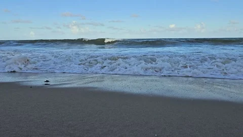 Ocean waves on the beach in continuous motion Stock Footage 326563676