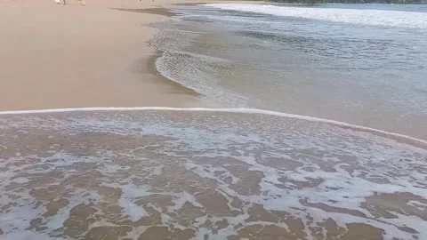 Ocean Waves on the Beach 스톡 동영상 308687641