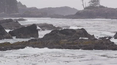 Ocean Waves Black Rocks Shoreline 動画素材 47286374