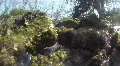 Ocean Waves Break & Splash Against Rocks On The Beach HD Footage