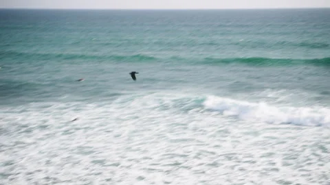 Ocean waves breaking against the shore and a bird flying above the tide Stock Footage 245291955