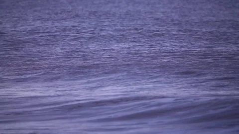 Ocean waves breaking on the shore at dusk Stock Footage 98678405