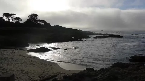 Ocean Waves in Cove with silhouette of Trees Stock Footage 46559947