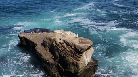 Ocean waves crash against a large rock formation where a bird stands on a b.. Stock Footage 339414618